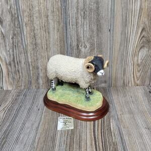 Vintage Border Fine Arts 1994 Swaledale Ram Figurine